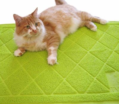 Cat Mat