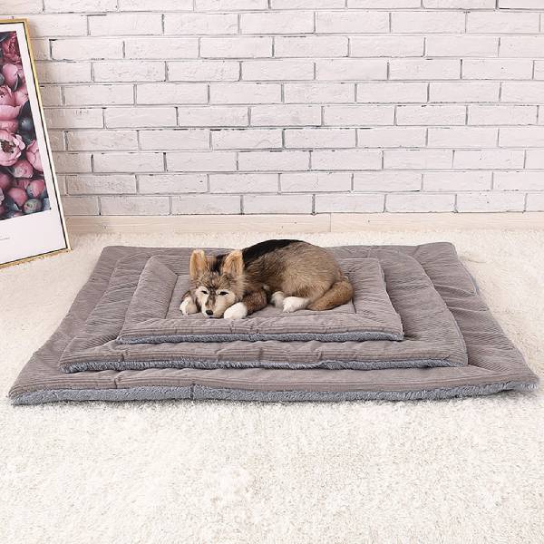 Usage of Large Dog Pad