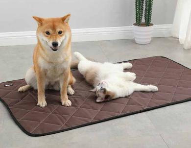 Pet Mat